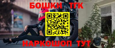 индика Гусиноозёрск
