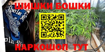 индика Гусиноозёрск