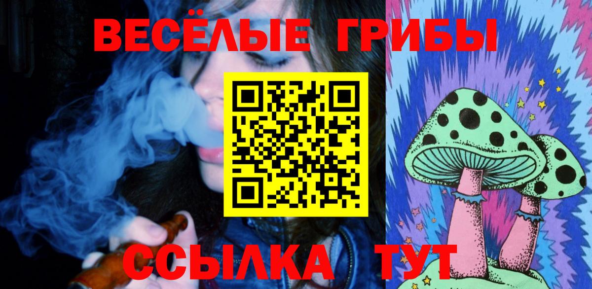 Кулебаки  Галлюциногенные грибы мухоморы  Галлюциногенные грибы мухоморы  Вход с VPN 