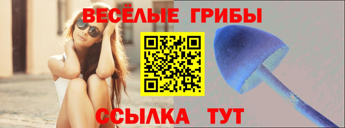 Псилоцибиновые грибы Magic Shrooms Кулебаки