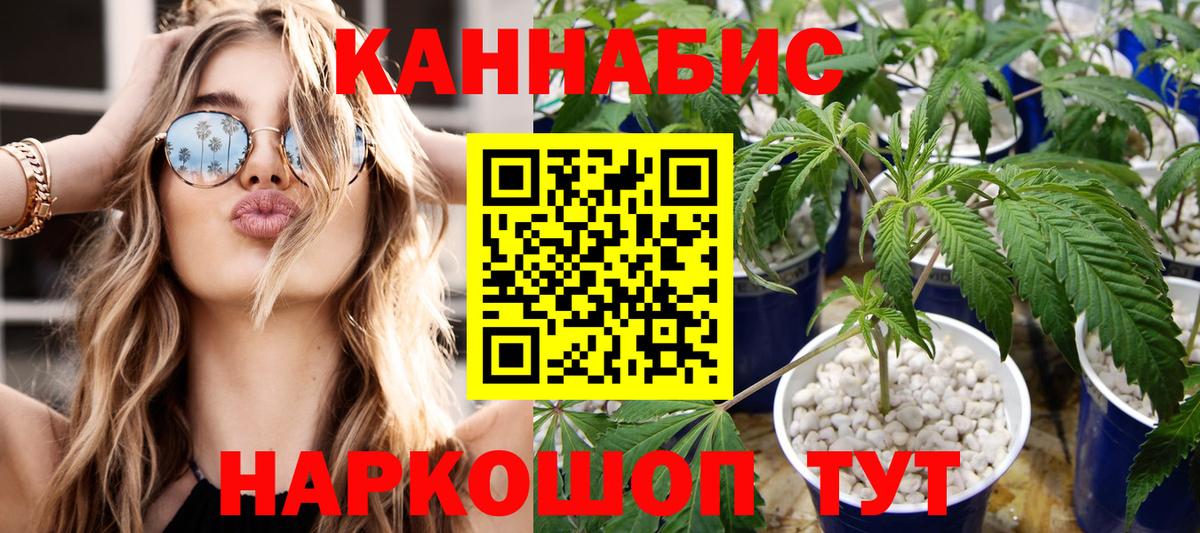 МАРИХУАНА Amnesia  Вход с VPN  МАРИХУАНА White Widow  Бошки Шишки план  Кулебаки  Канабис тримм 